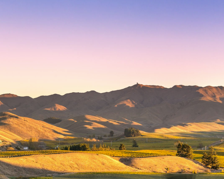 The hills around Blenheim