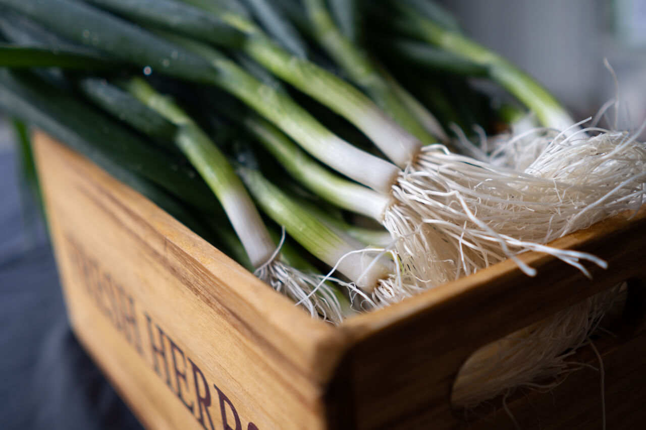 A box of organic leaks