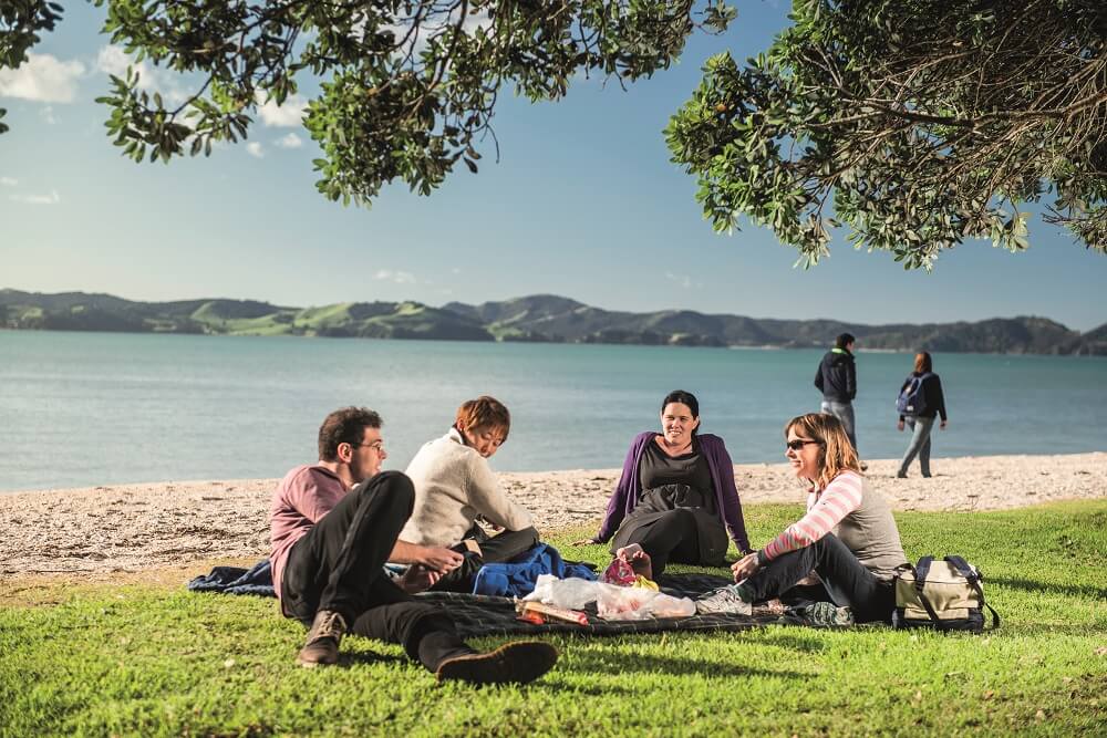 A group having a picnic at the beach