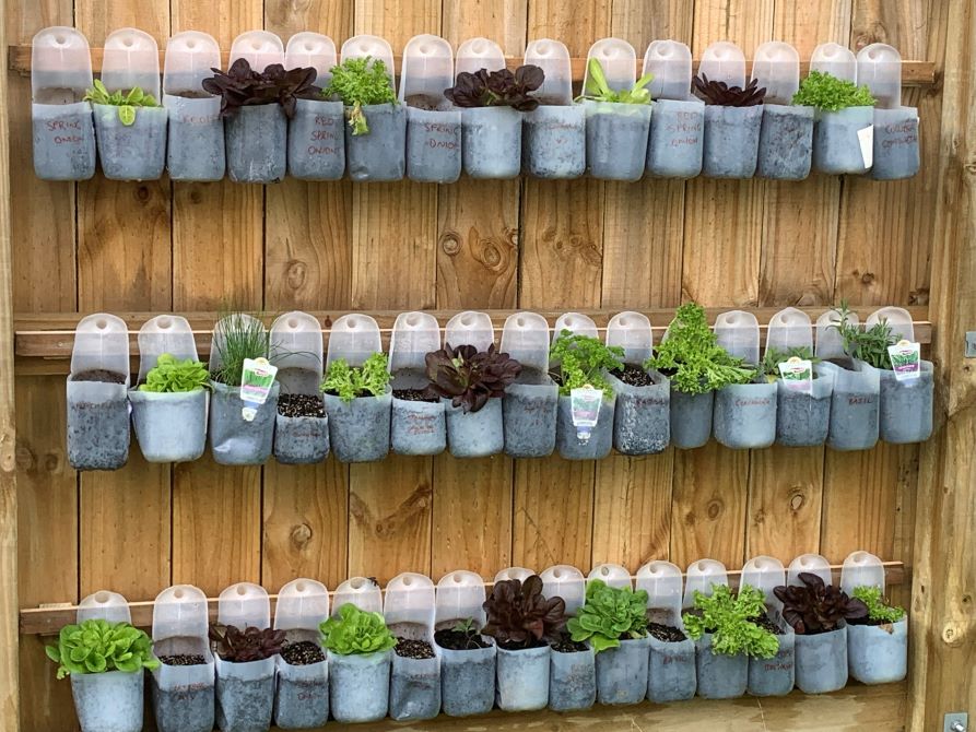 milk bottles that have been cut in half and repurposed as planters are attached to a fence.